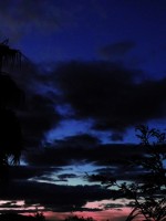 /album/fotogaleria/p1010895-jpg/